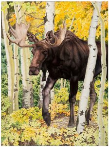 Painting of a moose walking through the woods