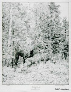 Drawing of a moose with her calves standing in a forest